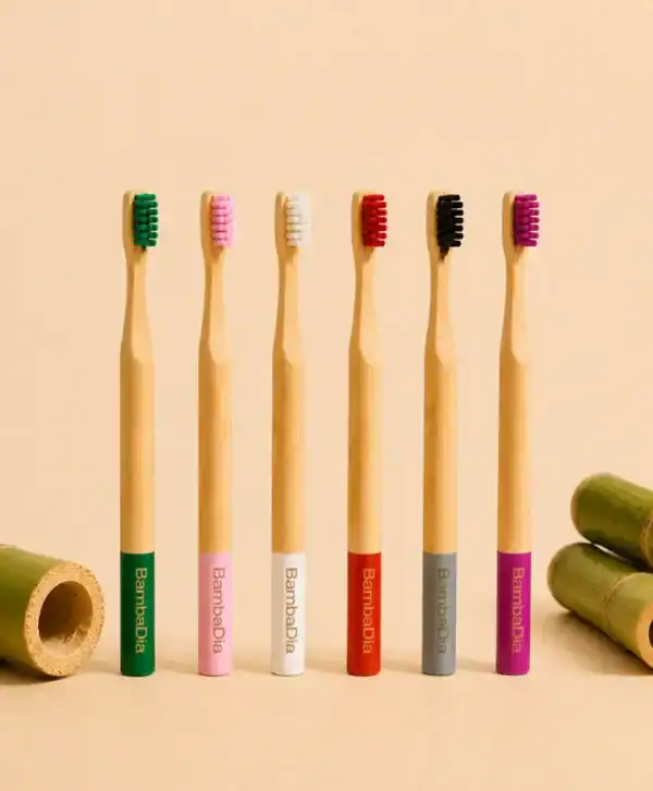 Brosses à dents en bambou grand